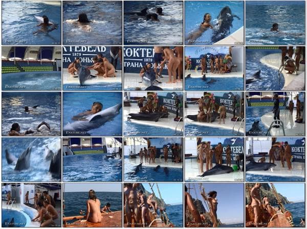 Nudism video - Dreaming of dolphins [DVD rip] [720 x 480 | 01:10:00 | 4.4 GB]