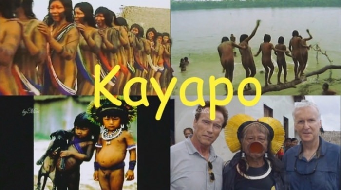 Kayapo - Native Indians of Eastern Brazil [Naked Tribe]